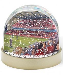 Nottingham Forest Stadium Water Colour Snow Globe By Sam Edwards Artist