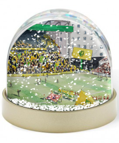 Norwich City Stadium Water Colour Snow Globe By Sam Edwards Artist