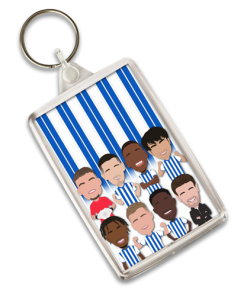 Brighton Vector Heroes Keyring 2024-25