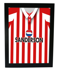Southampton Home 1995 Retro Kit Framed Print