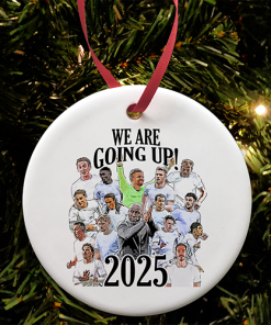 Port Vale Promoted 2024-25 Christmas Tree Decoration Bauble