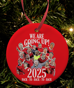 Wrexham Promoted 2024-25 Christmas Tree Decoration Bauble