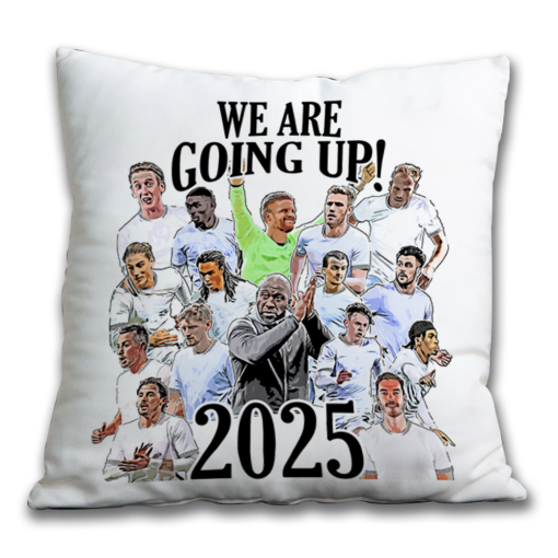 Port Vale Promotion We Are Going Up 2024- 2025 Jumbo Football Cushion - Image 2