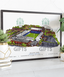 Crystal Palace Around The Grounds Selhurst Park Water Colour Print Framed Print