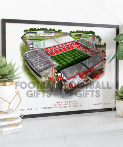 Forest Around The Grounds The City Ground Water Colour Print Framed Print