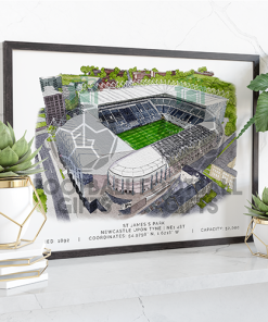 Newcastle Around The Grounds St James Park Water Colour Print Framed Print