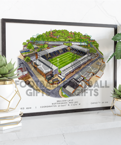 Notts County Around The Grounds Meadow Lane Water Colour Print Framed Print