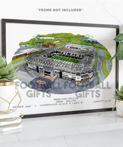 Derby County Around The Grounds Pride Park Stadium Water Colour Print Framed Print