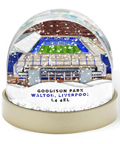 Everton Around The Grounds Goodison Park Stadium Water Colour Snow Globe