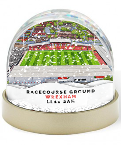 Wrexham Around The Grounds Racecourse Ground Stadium Water Colour Snow Globe