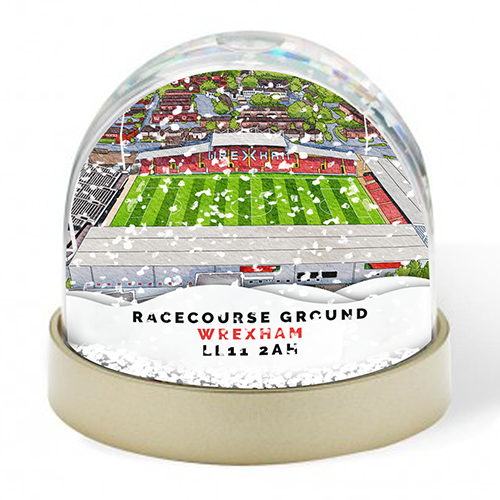Wrexham Around The Grounds Racecourse Ground Stadium Water Colour Snow Globe