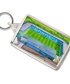 Plymouth Argyle Around The Grounds Home Park Stadium Water Colour Keyring