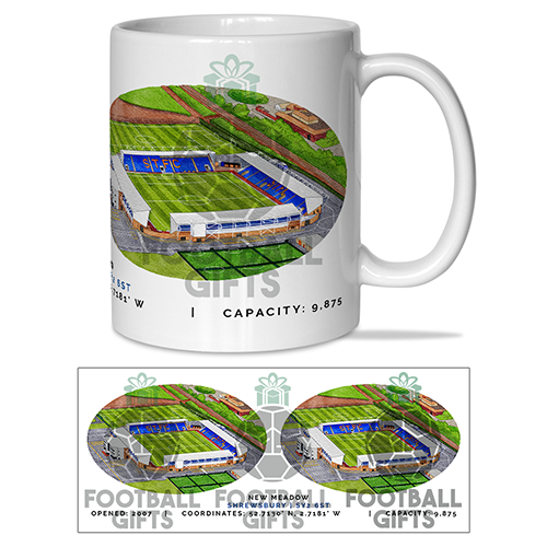 Shrewsbury Town Around The Grounds New Meadow Stadium Water Colour Mug Cup