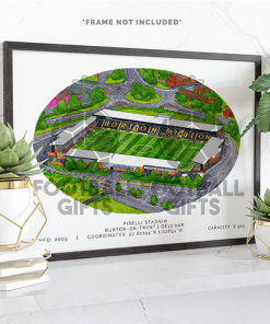Burton Albion Around The Grounds Pirelli Stadium Water Colour Print Framed Print
