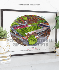 Exeter City Around The Grounds St James Park Stadium Water Colour Print Framed Print