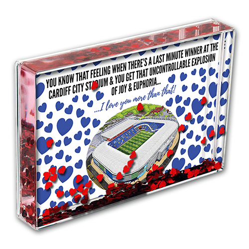 Cardiff City Heart Photo Block I Love you More Than That Love Hearts Valentines Day