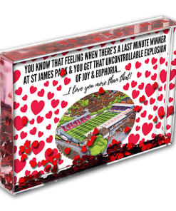 Exeter City Heart Photo Block I Love you More Than That Love Hearts Valentines Day