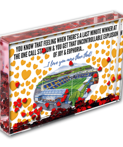 Mansfield Town Heart Photo Block I Love you More Than That Love Hearts Valentines Day