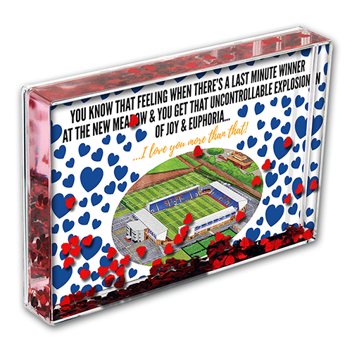 Shrewsbury Town Heart Photo Block I Love you More Than That Love Hearts Valentines Day