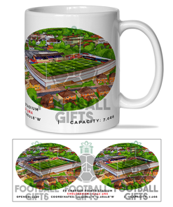 Cheltenham Town Around The Grounds EV Charger Points Stadium Water Colour Mug Cup