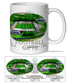 Stevenage Around The Grounds Lamex Stadium Water Colour Mug Cup