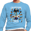 Coventry City Champions 2026 Sky Blue Jumper Top