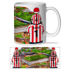 Cheltenham Town Father & Son At The Match Personalised Stadium Mug Cup