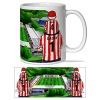 Stevenage Father & Son At The Match Personalised Stadium Mug Cup