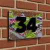 Exeter City Personalised Around The Grounds St James Park Stadium House Number Plaque