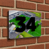 Falkirk Personalised Around The Grounds Falkirk Stadium House Number Plaque