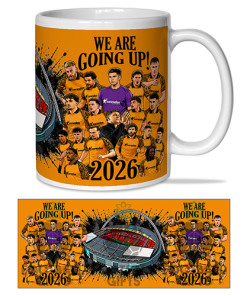 Hull City Play Off Winners 2026 Mug We Are Going Up Mug