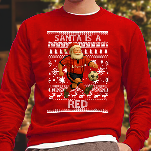 Santa Is A Red Forest Christmas Jumper Red Jumper
