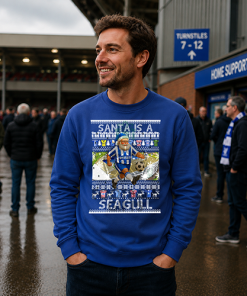 Santa Is A Seagull Brighton Blue Christmas Jumper - Image 3