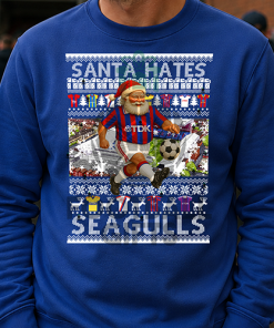 Santa Hates Seagulls Blue Crystal Palace Christmas Jumper